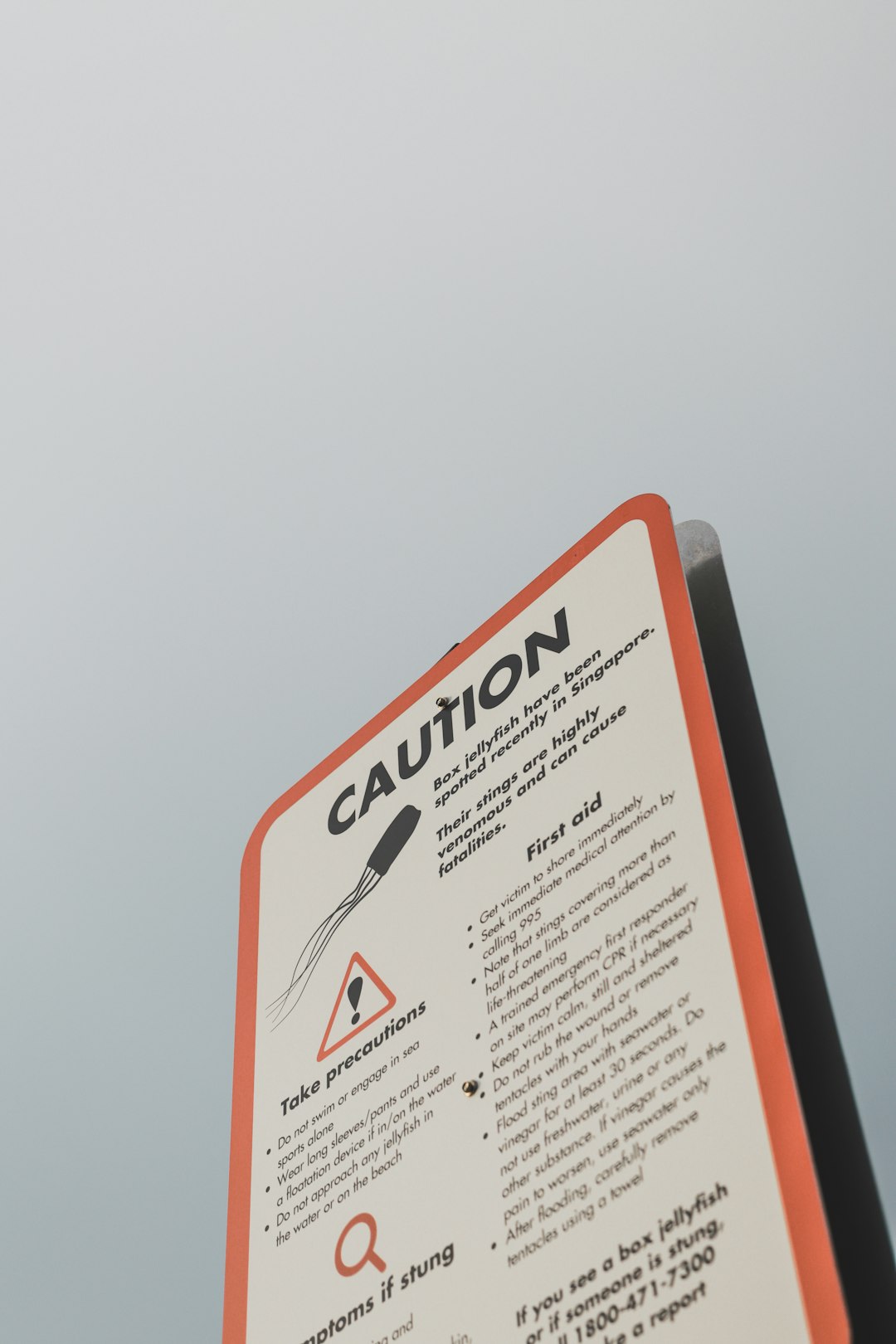 Best Email Marketing Roles for Copywriters and Digital Marketers